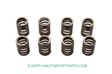 Midget Valve spring set 75-79
